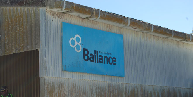 Ballance Products